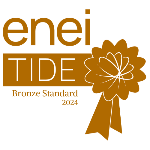 enei TIDE Bronze